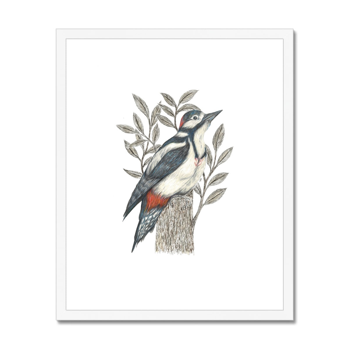 Woodpecker Framed & Mounted Print