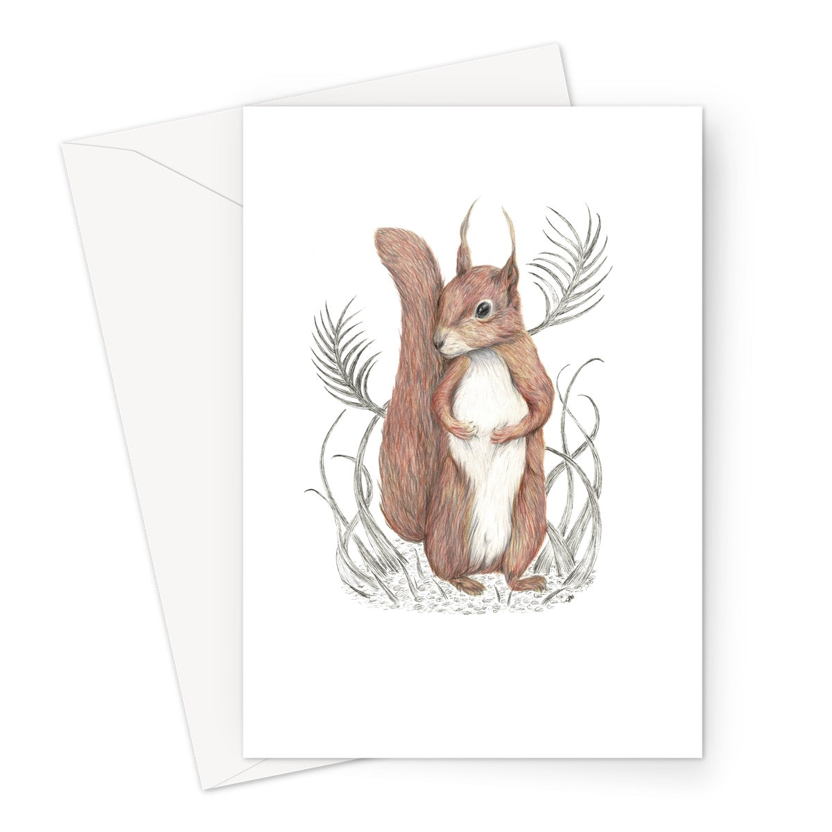 Squirrel Greeting Card