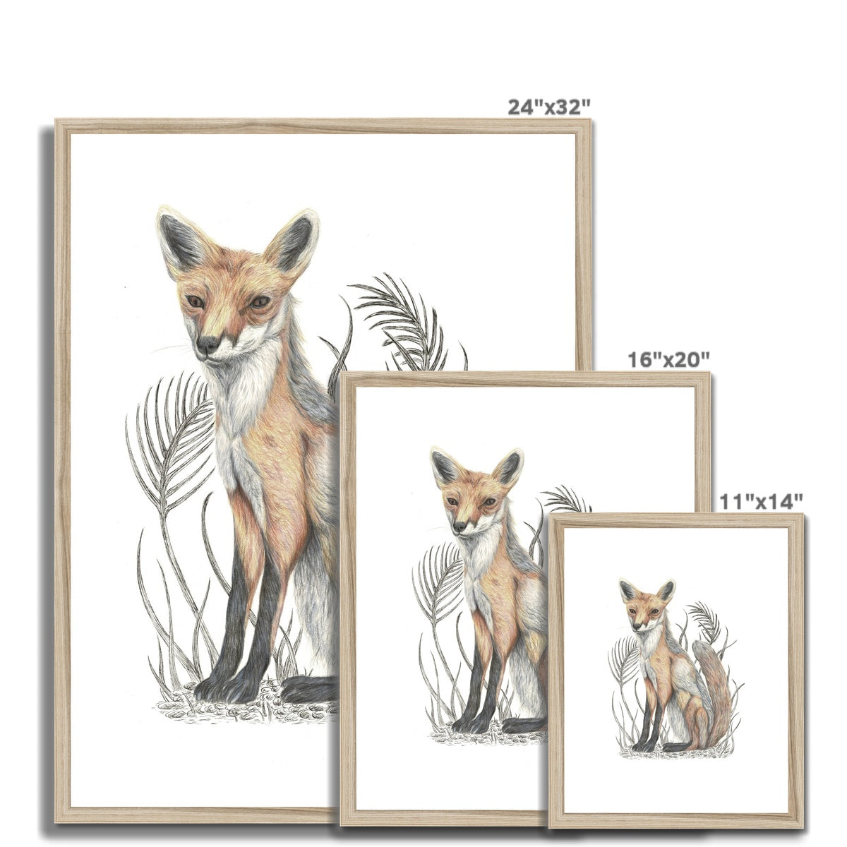 Fox Framed & Mounted Print