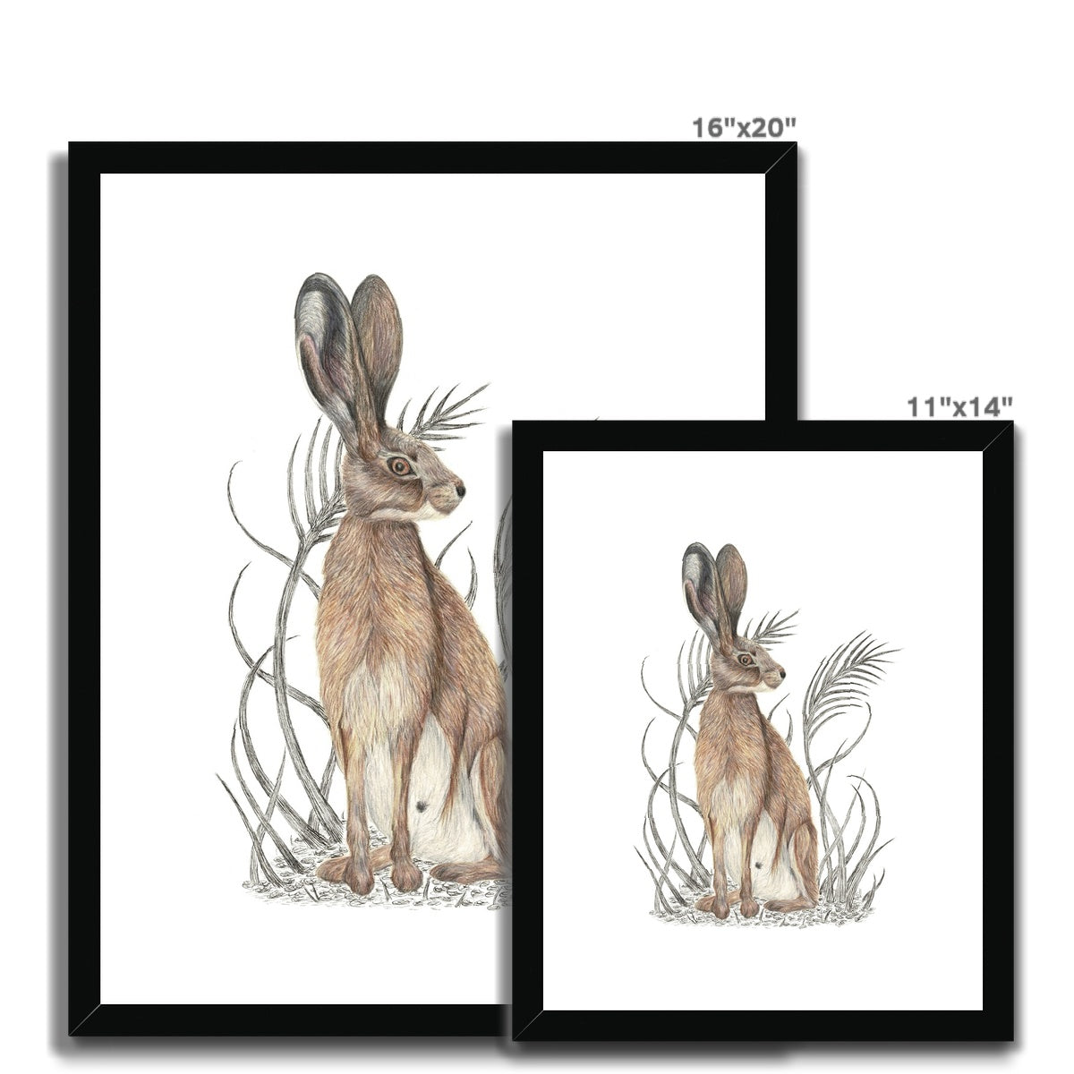 Hare Framed & Mounted Print