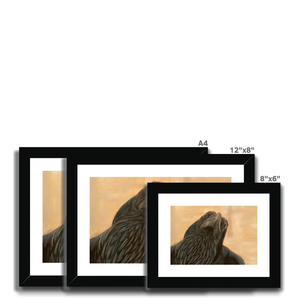 Raven Framed & Mounted Print