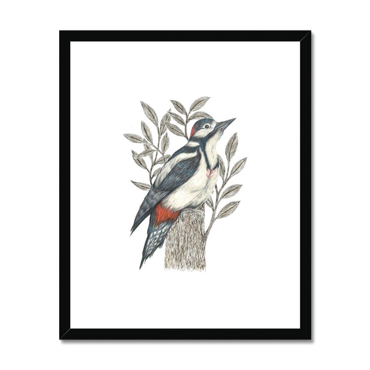 Woodpecker Framed & Mounted Print