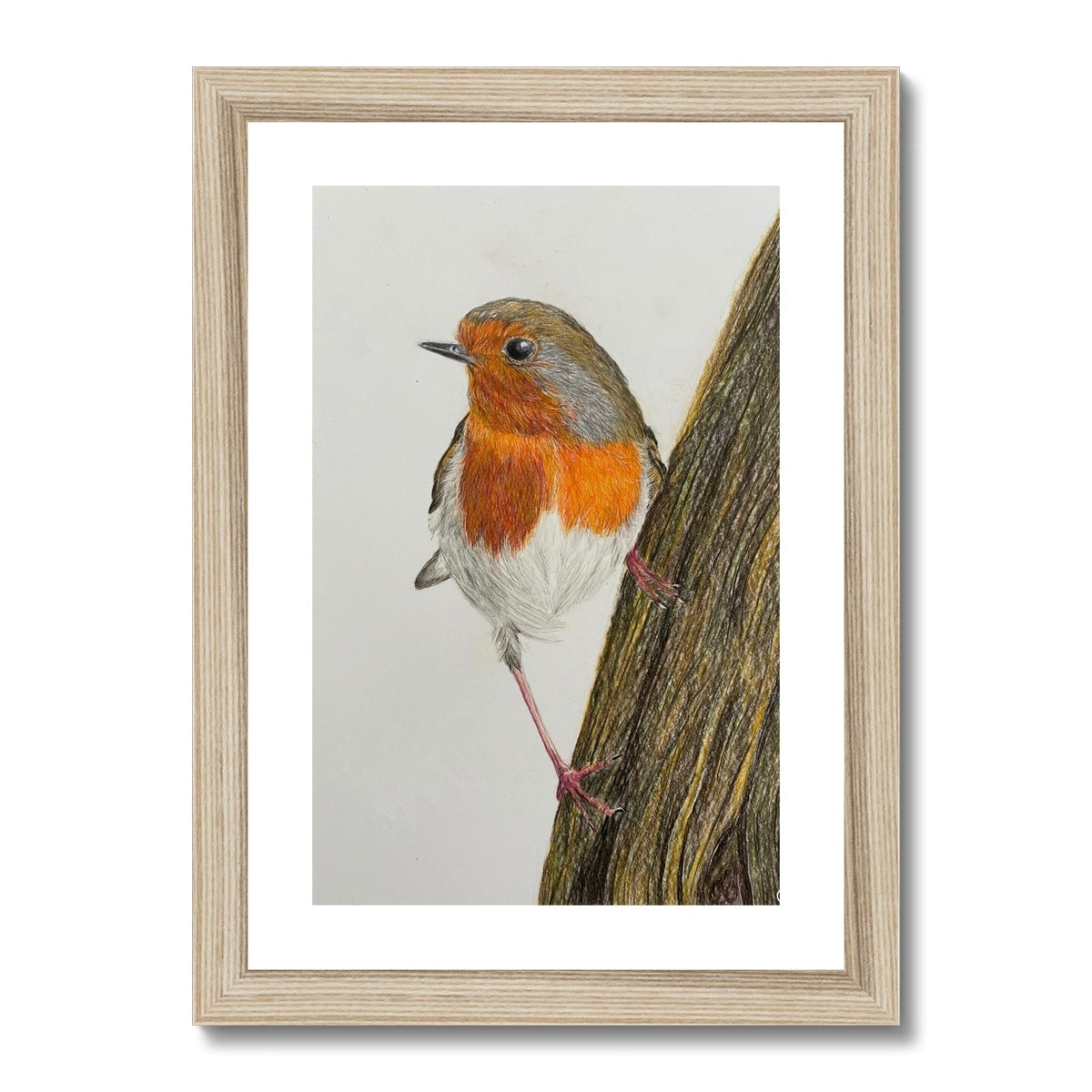 Robin Print Framed & Mounted Print