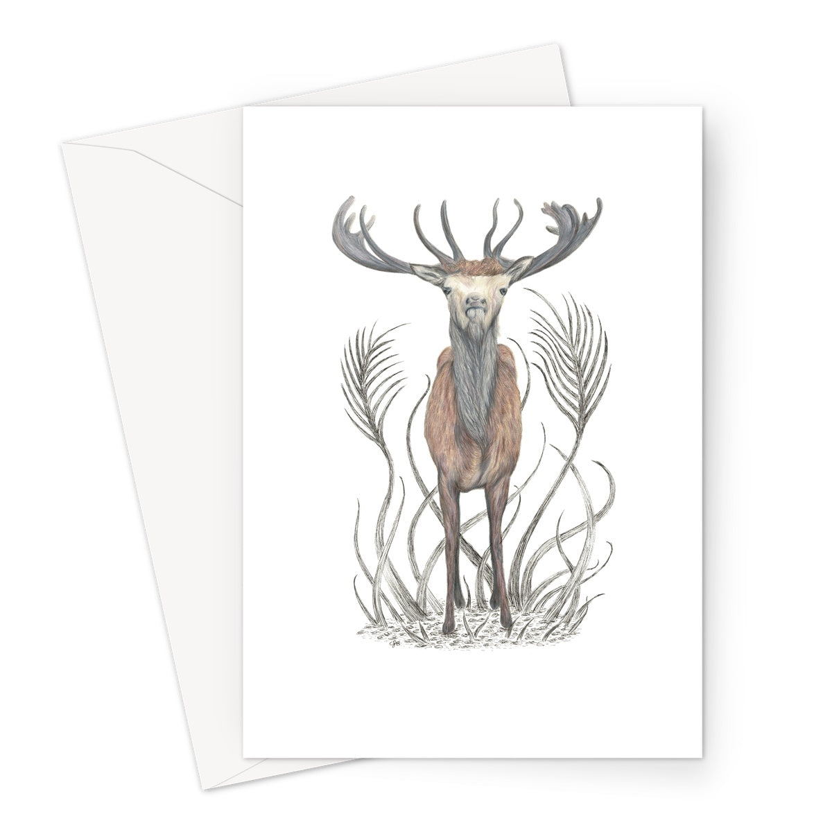 Stag Greeting Card