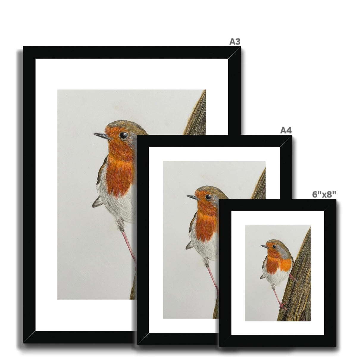 Robin Print Framed & Mounted Print