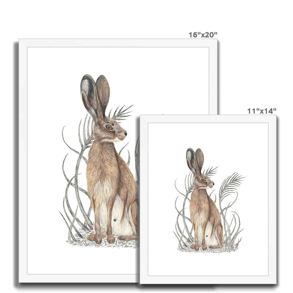 Hare Framed & Mounted Print