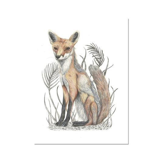 Fox Fine Art Print