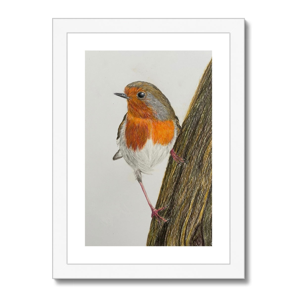 Robin Print Framed & Mounted Print