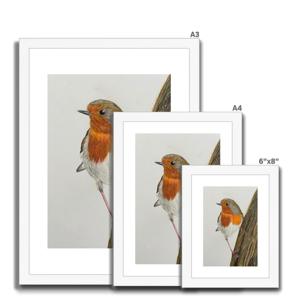 Robin Print Framed & Mounted Print