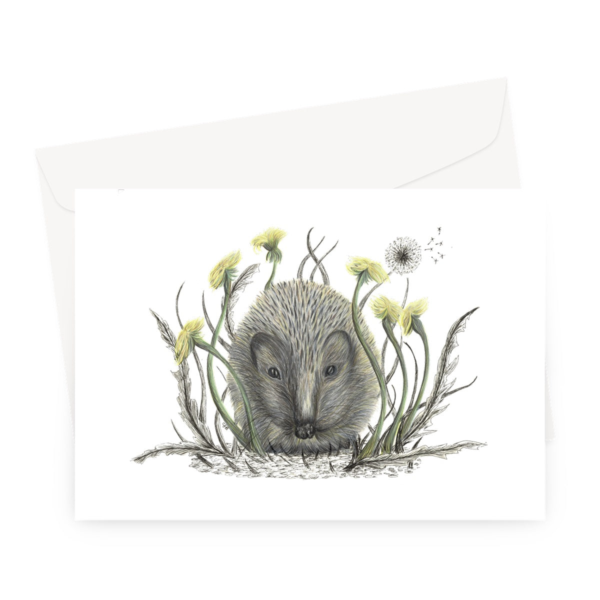 Hedgehog Greeting Card