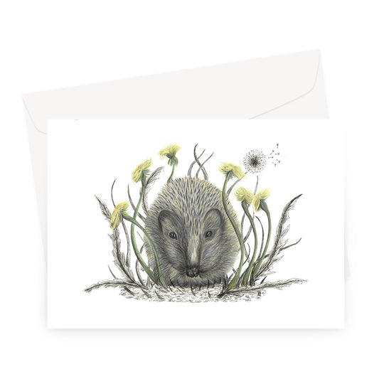 Hedgehog Greeting Card