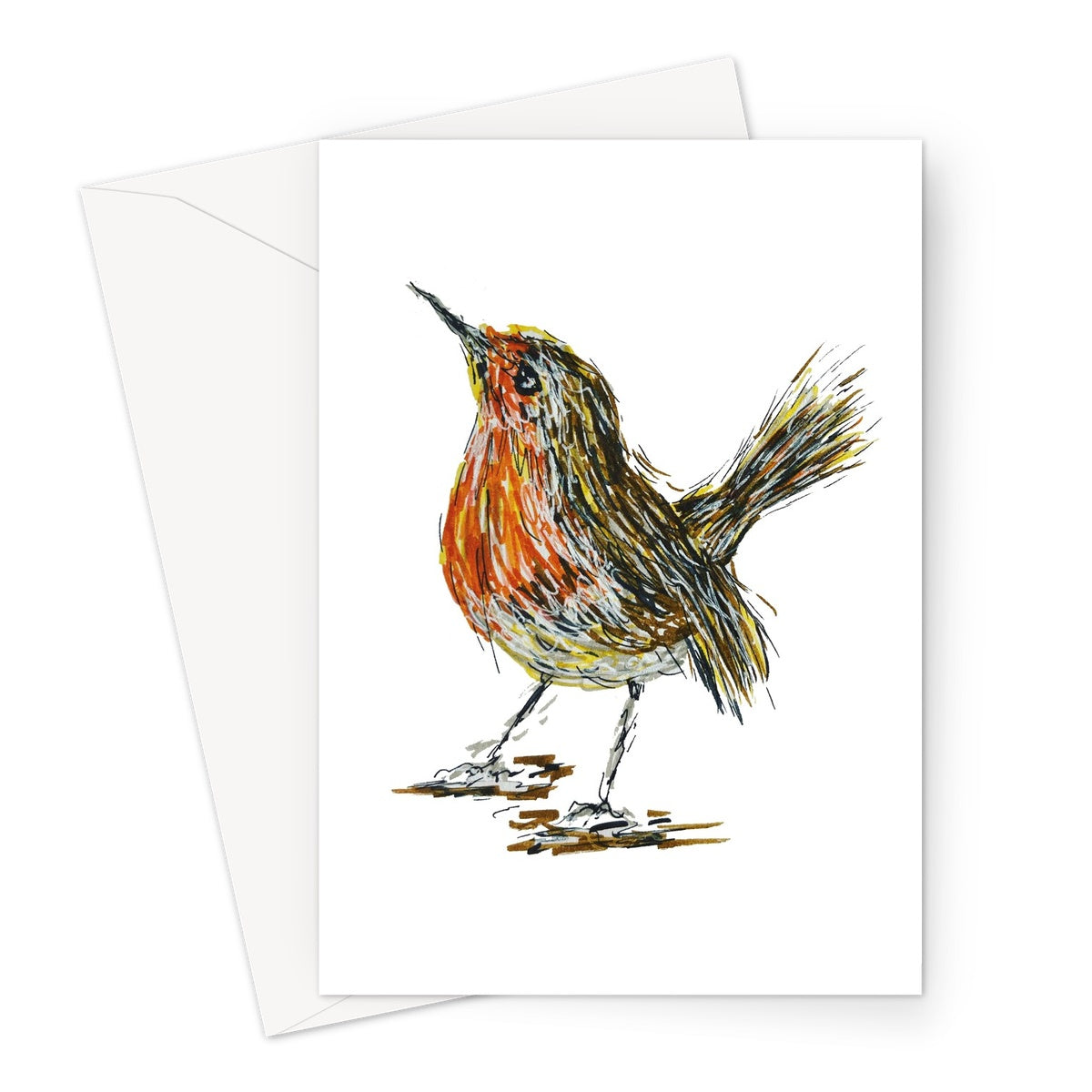 Robin    Greeting Card