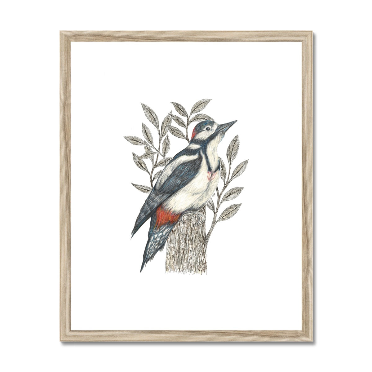 Woodpecker Framed & Mounted Print