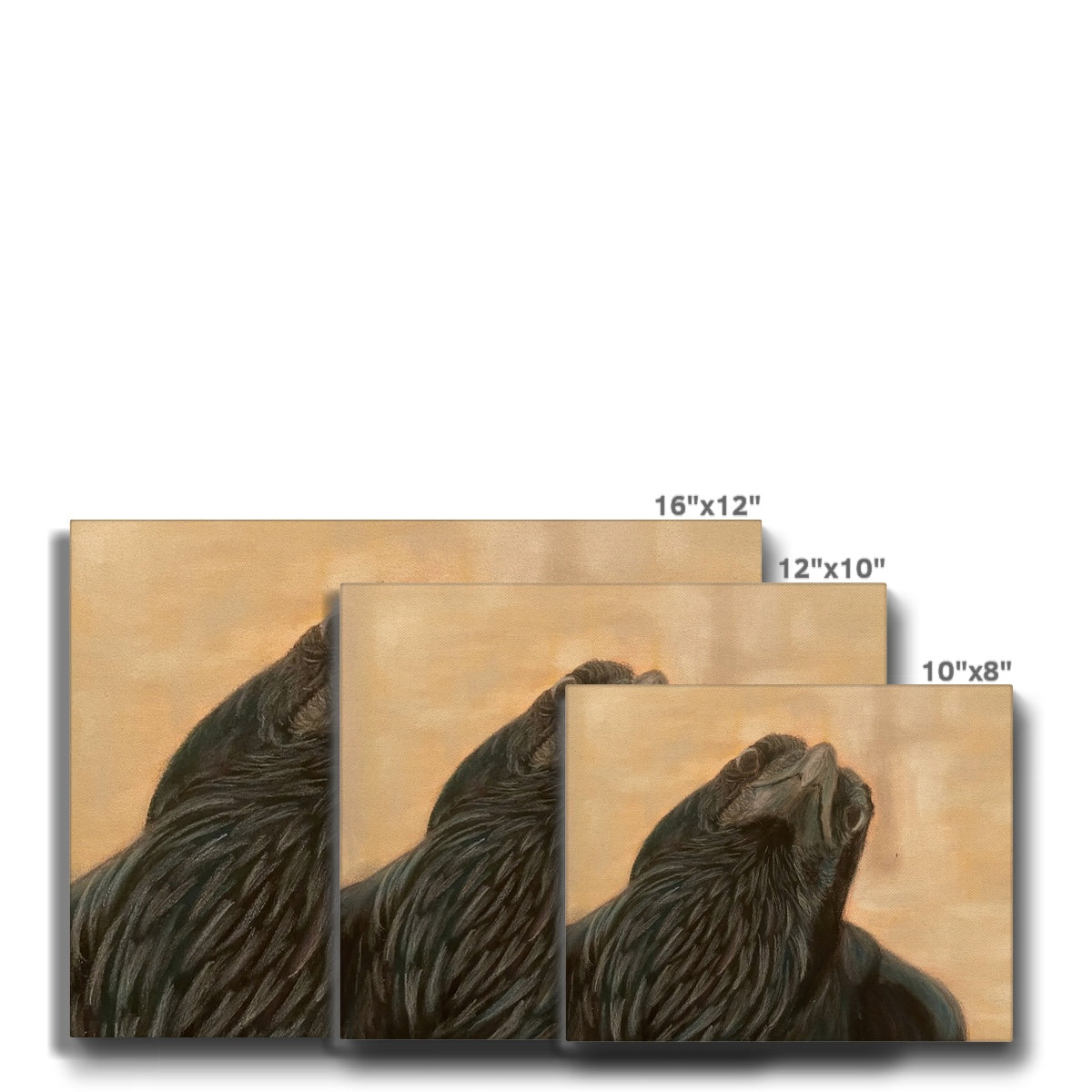 Raven Canvas