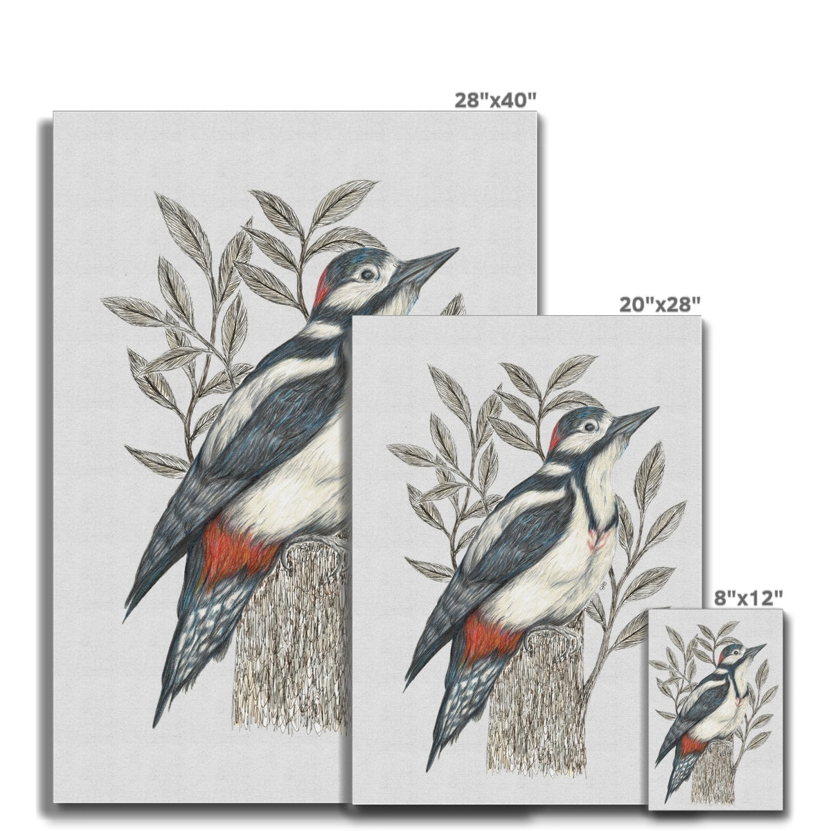 Woodpecker Canvas