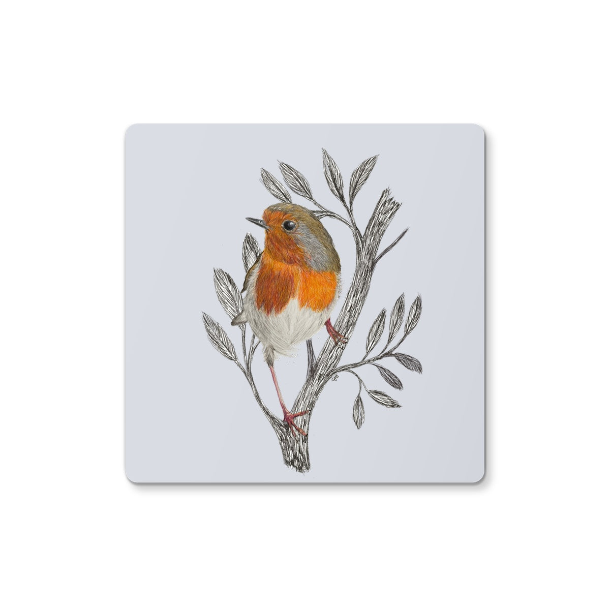 Robin Coaster