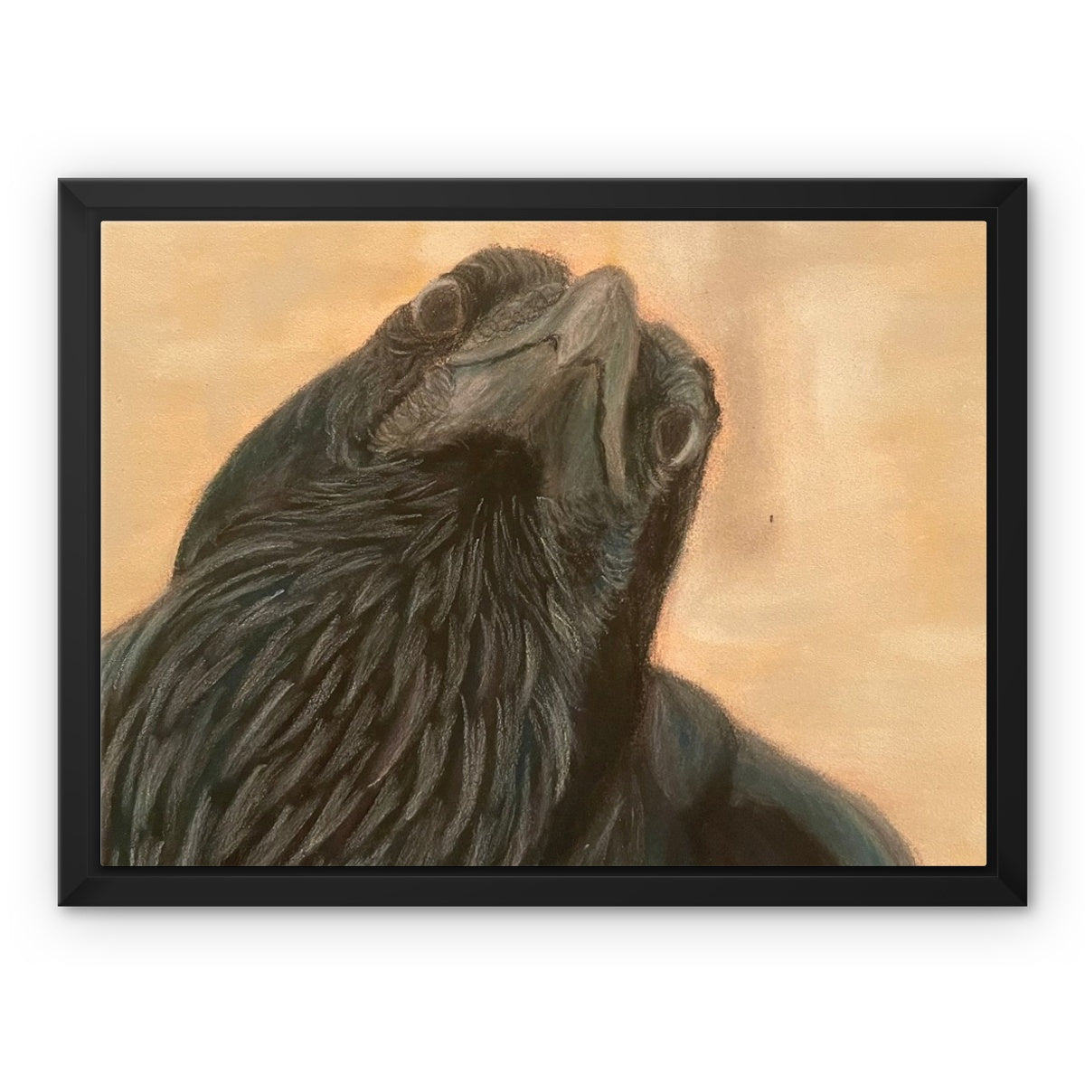 Raven Framed Canvas